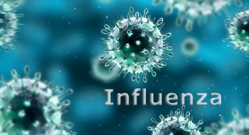 Influenza gripa